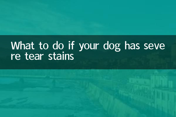 What to do if your dog has severe tear stains