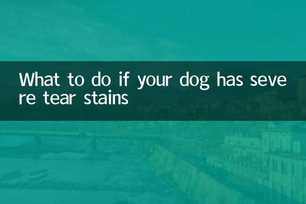 What to do if your dog has severe tear stains