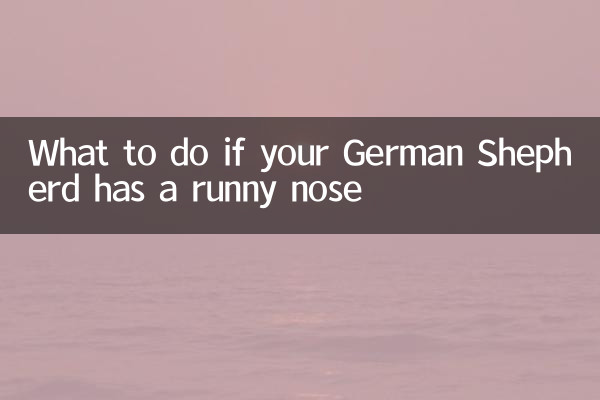 اگر ژرمن شپرد شما آبریزش بینی داشته باشد چه باید کرد؟