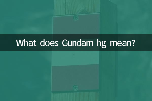 Gundam hg به چه معناست؟