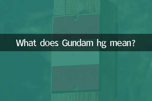 Gundam hg به چه معناست؟