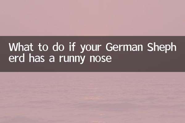 اگر ژرمن شپرد شما آبریزش بینی داشته باشد چه باید کرد؟