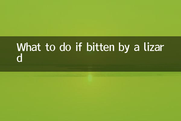 What to do if bitten by a lizard