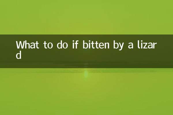 What to do if bitten by a lizard