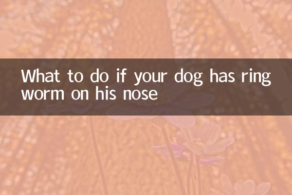 Cosa fare se il tuo cane ha la tigna sul naso