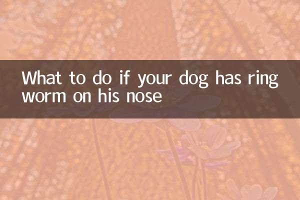 ماذا تفعل إذا كان كلبك يعاني من السعفة على أنفه