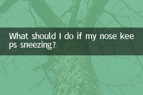 코가 계속 재채기를 하면 어떻게 해야 하나요?