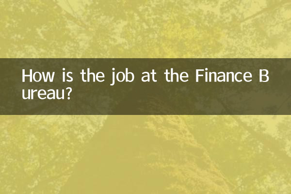 财政局工作怎么样
