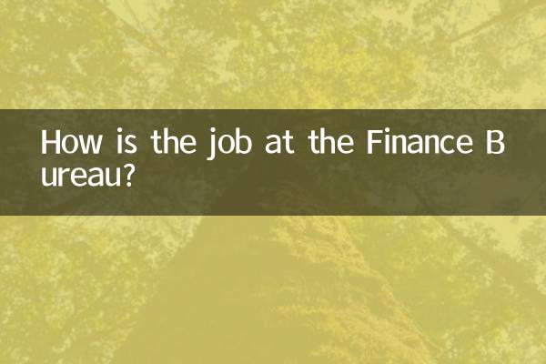 财政局工作怎么样