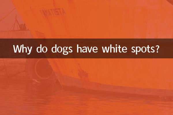 چرا سگ ها لکه های سفید دارند؟
