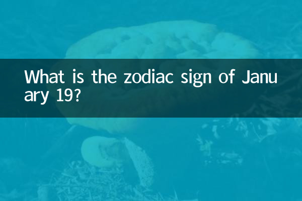 1月19什么星座是什么