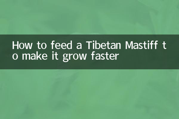 チベタン・マスティフを早く成長させるための餌の与え方