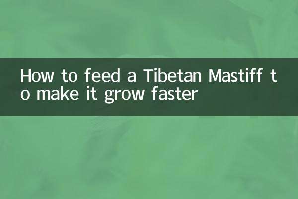 نحوه تغذیه ماستیف تبتی برای رشد سریعتر