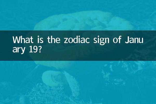 1月19什么星座是什么