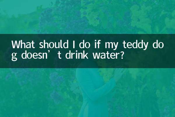 Что делать, если моя плюшевая собачка не пьет воду?