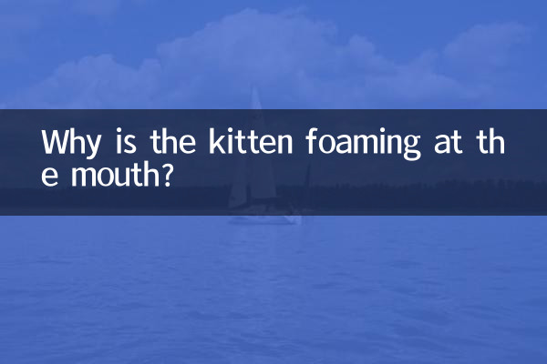 Why is the kitten foaming at the mouth?