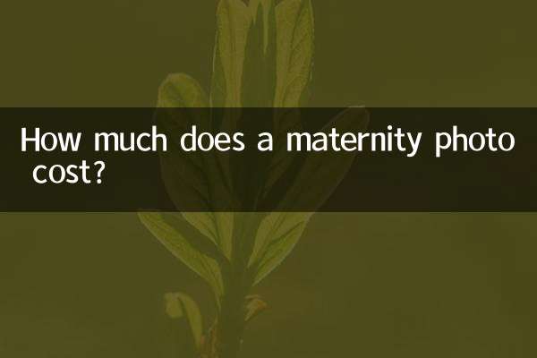¿Cuánto cuesta una foto de maternidad?