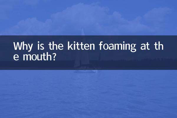 Why is the kitten foaming at the mouth?