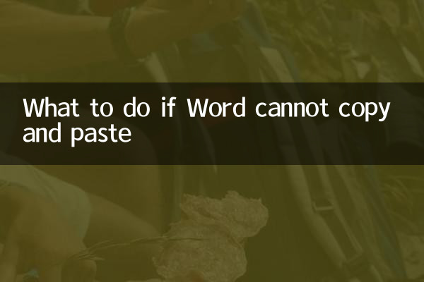 What to do if Word cannot copy and paste