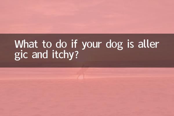 ماذا تفعل إذا كان كلبك يعاني من الحساسية والحكة؟
