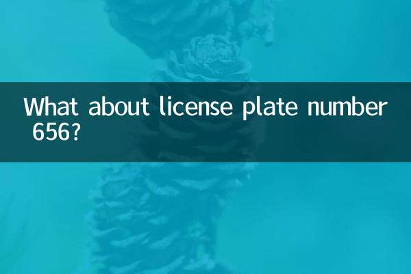 লাইসেন্স প্লেট নম্বর 656 সম্পর্কে কি?