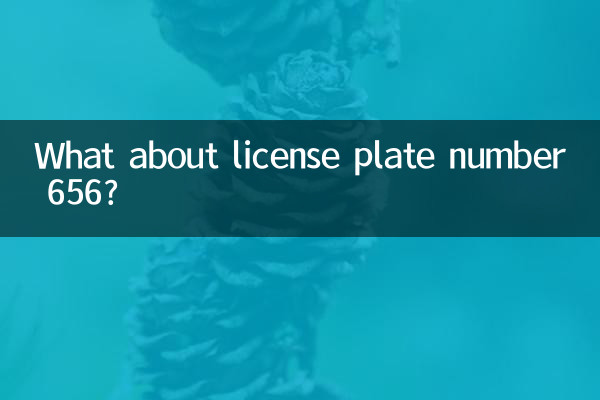 লাইসেন্স প্লেট নম্বর 656 সম্পর্কে কি?
