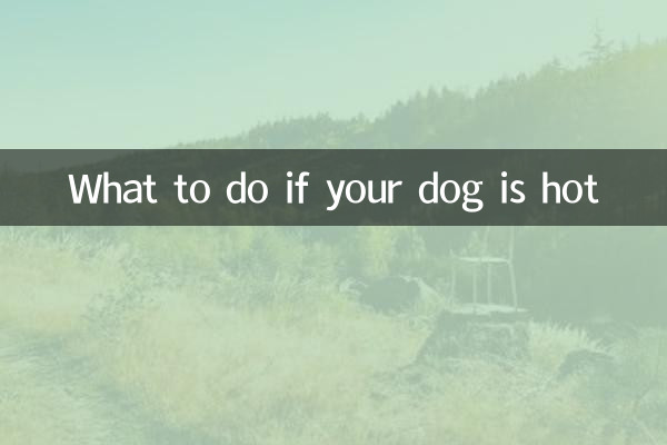 狗狗热气怎么办