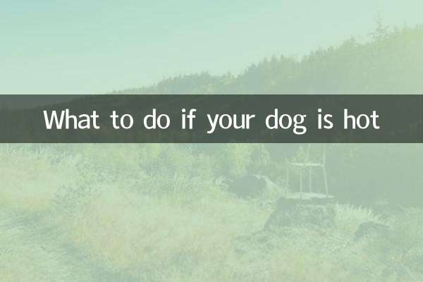 狗狗热气怎么办