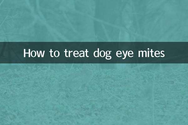 نحوه درمان کنه های چشم سگ