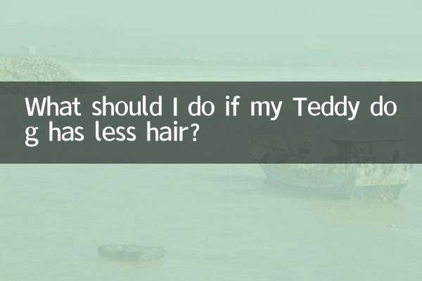 What should I do if my Teddy dog has less hair?