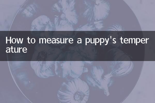 نحوه اندازه گیری دمای توله سگ