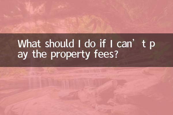 ¿Qué debo hacer si no puedo pagar los honorarios de la propiedad?