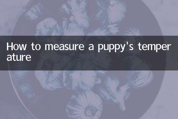 نحوه اندازه گیری دمای توله سگ