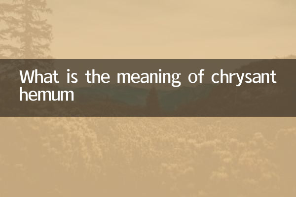 국화의 뜻은 무엇인가요?