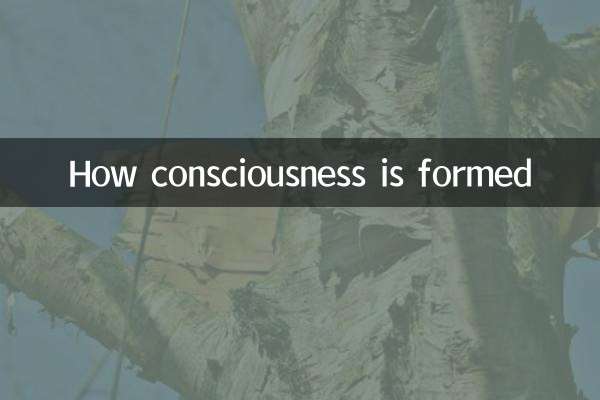 Wie Bewusstsein entsteht