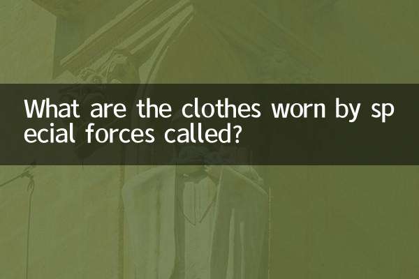 What are the clothes worn by special forces called?