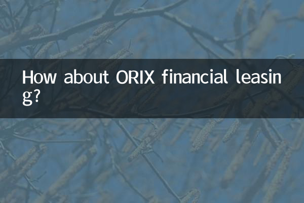 لیزینگ مالی ORIX چطور؟