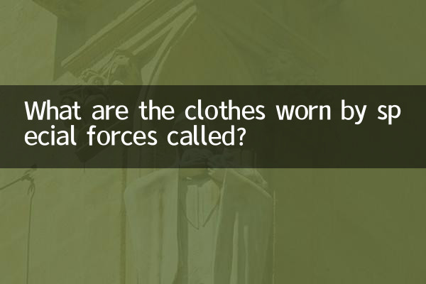 What are the clothes worn by special forces called?