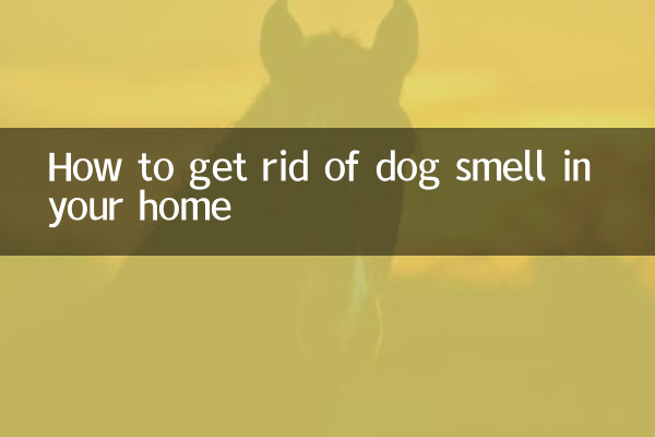 Comment se débarrasser de l'odeur de chien dans votre maison