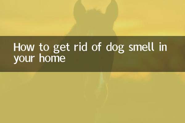 چگونه بوی سگ را در خانه از بین ببریم؟