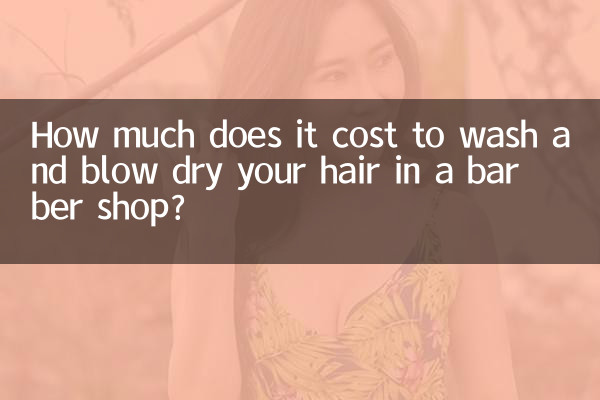 Wie viel kostet es, sich beim Friseur die Haare zu waschen und zu föhnen?