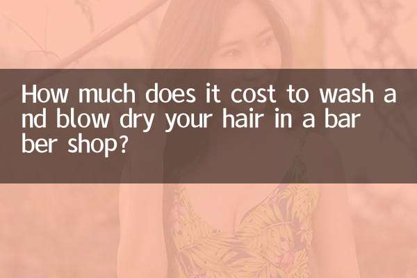 이발소에서 머리를 감고 드라이하는 데 비용이 얼마나 드나요?