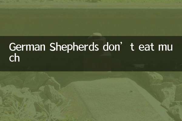 ژرمن شپردها زیاد غذا نمی خورند