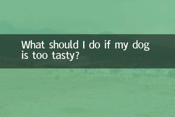 Que dois-je faire si mon chien est trop savoureux ?