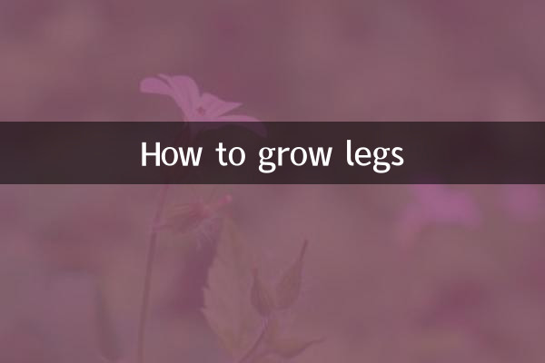 다리를 키우는 방법