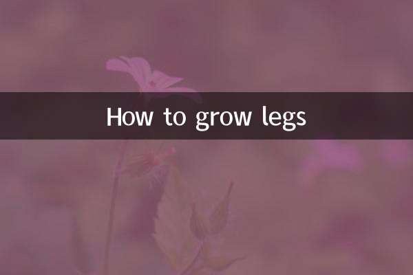 다리를 키우는 방법