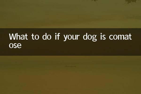 Cosa fare se il tuo cane è in coma