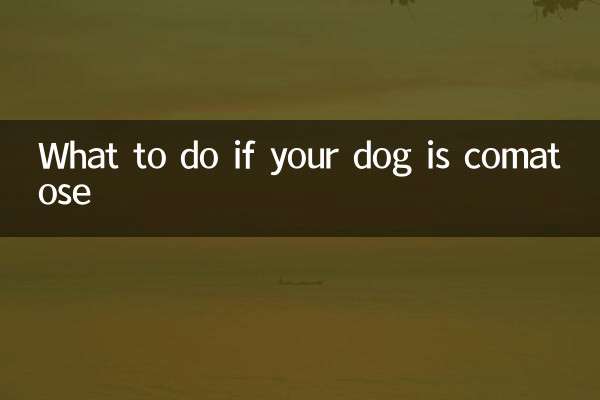 Cosa fare se il tuo cane è in coma