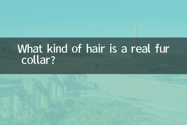 リアルファーの首輪ってどんな毛？