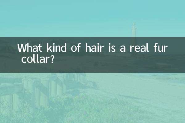リアルファーの首輪ってどんな毛？